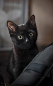 52681879202 7d0bdb8855 C 187x300