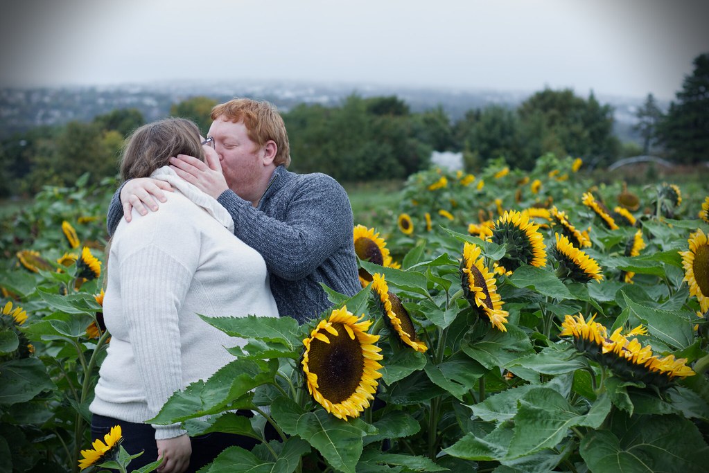 field kiss 54812422525 l