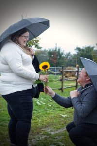 sunflower proposal 54812334353 l